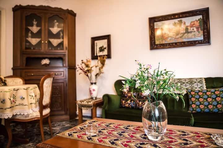 Traditional Antique Deco House Kalampáka Eksteriør bilde