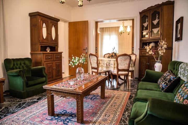 Traditional Antique Deco House Kalampáka Eksteriør bilde
